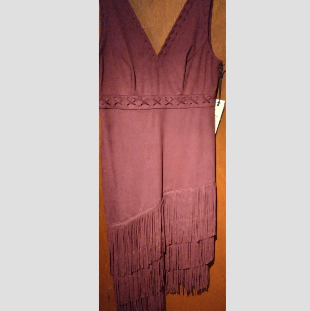 Miranda Lambert Western Burgandy Suede Dress